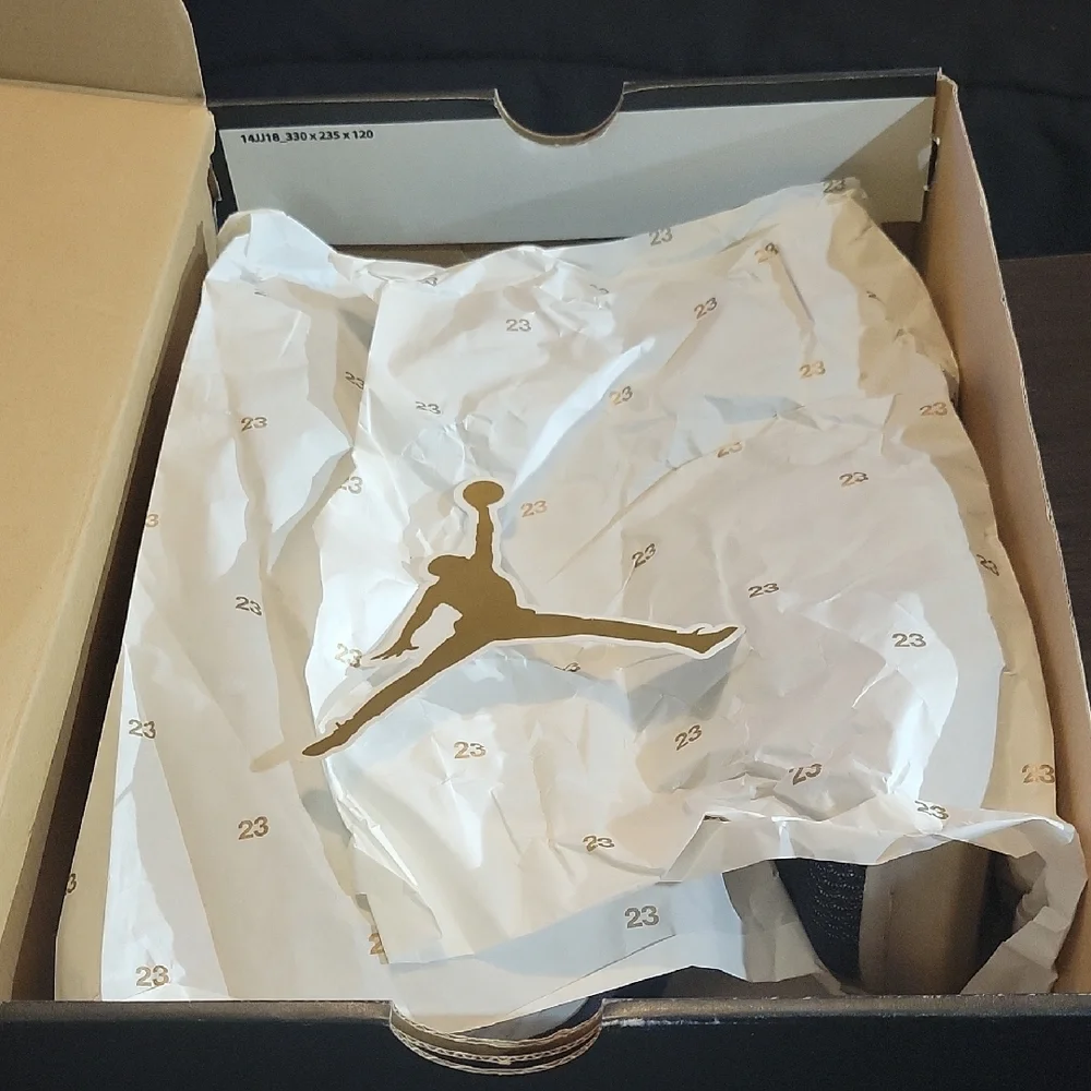 Air Jordan Spike Forty GG (GS) Rare 